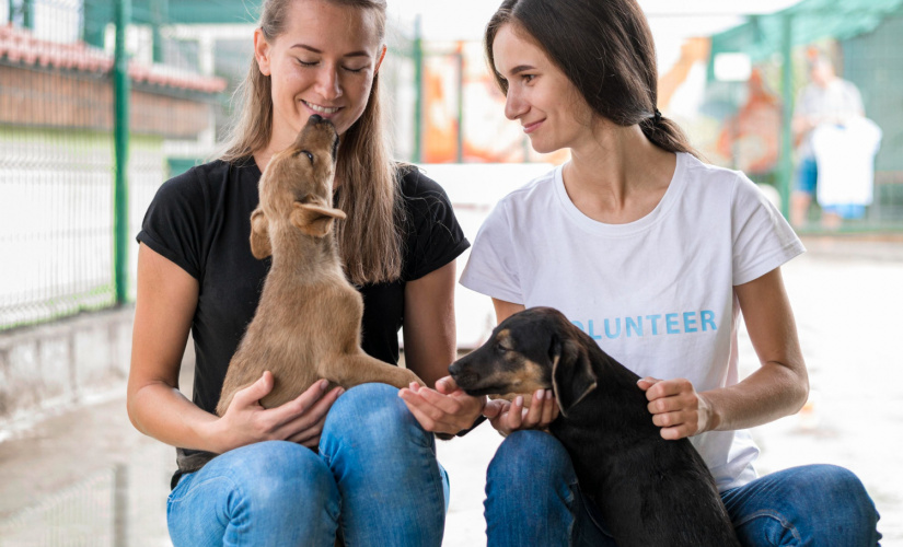 Animais atuam como terapeutas no processo do luto adulto