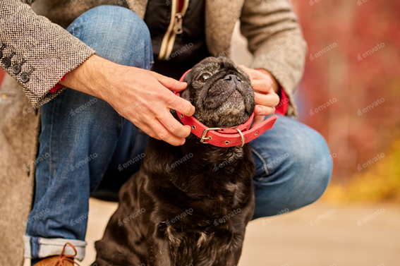 Homem segurando um cachorro

O conteúdo gerado por IA pode estar incorreto.