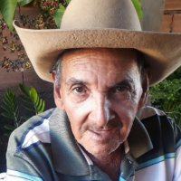 José de Jesus Moreira