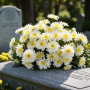 Plano funerário: quais são os prazos de carência