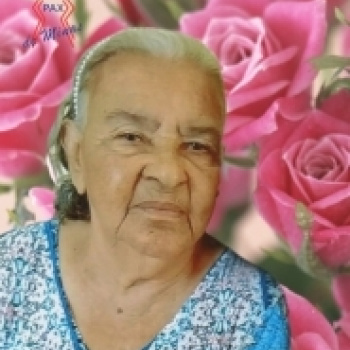 Terezinha Alves de Paula