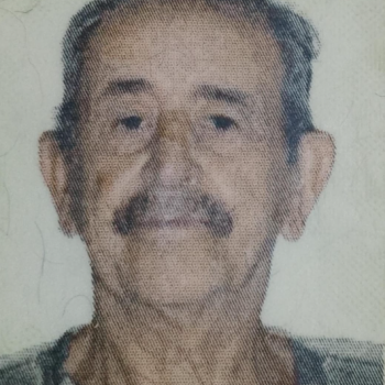 JOSÉ MARIA DE MATOS