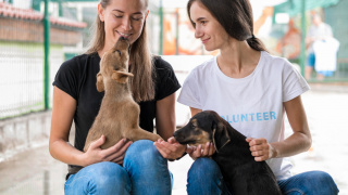 Animais atuam como terapeutas no processo do luto adulto
