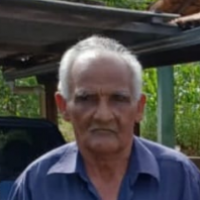 Lorival Pereira de Freitas