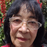 FRANCISCA ALVES TEIXEIRA