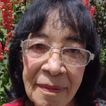 FRANCISCA ALVES TEIXEIRA