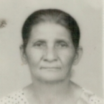 Petronilia Pereira de Oliveira