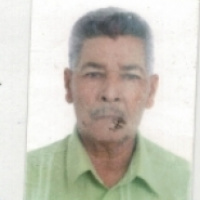 João Pereira da Silva